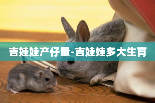 吉娃娃產仔量-吉娃娃多大生育