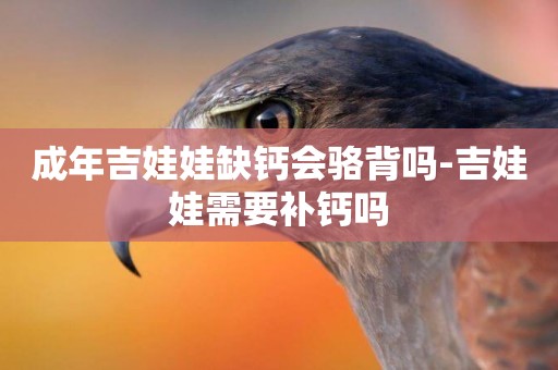 成年吉娃娃缺鈣會駱背嗎-吉娃娃需要補鈣嗎