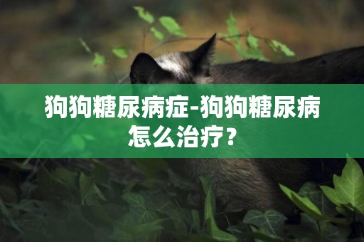 狗狗糖尿病癥-狗狗糖尿病怎么治療？