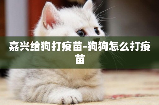 嘉興給狗打疫苗-狗狗怎么打疫苗