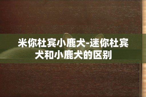 米你杜賓小鹿犬-迷你杜賓犬和小鹿犬的區別