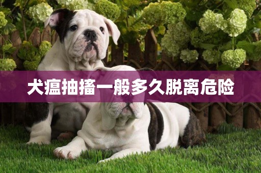 犬瘟抽搐一般多久脫離危險