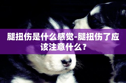 腿扭傷是什么感覺-腿扭傷了應該注意什么？