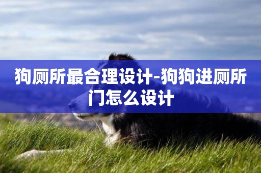 狗廁所最合理設計-狗狗進廁所門怎么設計