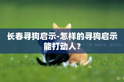 長春尋狗啟示-怎樣的尋狗啟示能打動人？
