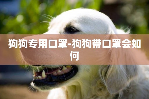 狗狗專用口罩-狗狗帶口罩會如何