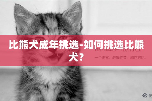 比熊犬成年挑選-如何挑選比熊犬？