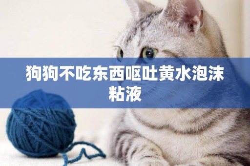 狗狗不吃東西嘔吐黃水泡沫粘液