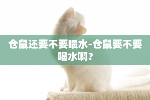 倉鼠還要不要喂水-倉鼠要不要喝水啊？