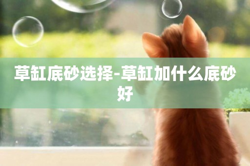 草缸底砂選擇-草缸加什么底砂好