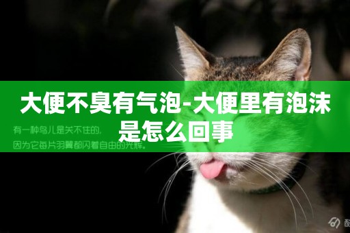 大便不臭有氣泡-大便里有泡沫是怎么回事