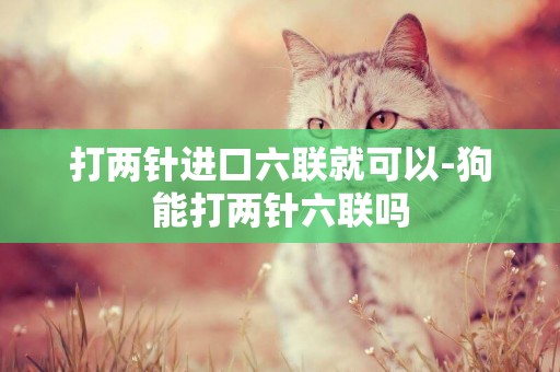打兩針進口六聯就可以-狗能打兩針六聯嗎