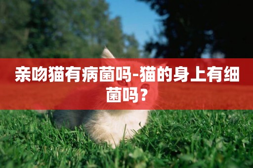 親吻貓有病菌嗎-貓的身上有細菌嗎？