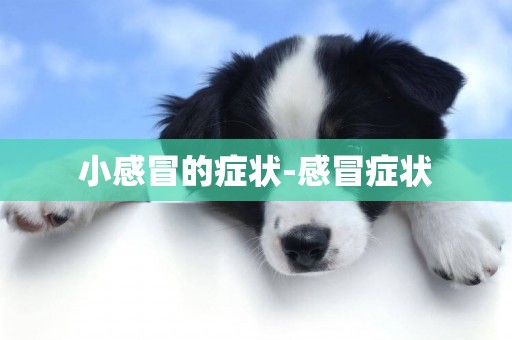 小感冒的癥狀-感冒癥狀