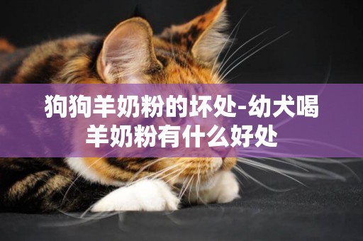 狗狗羊奶粉的壞處-幼犬喝羊奶粉有什么好處