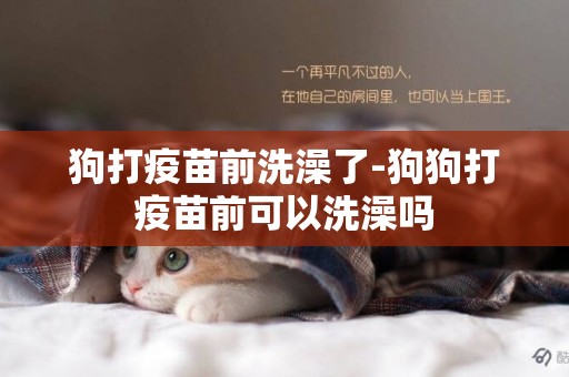 狗打疫苗前洗澡了-狗狗打疫苗前可以洗澡嗎