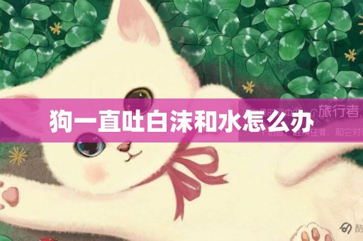 狗一直吐白沫和水怎么辦
