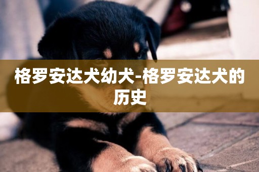 格羅安達犬幼犬-格羅安達犬的歷史
