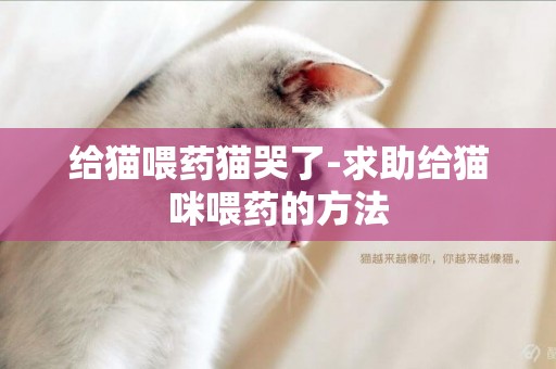 給貓喂藥貓哭了-求助給貓咪喂藥的方法
