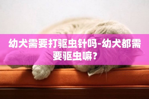 幼犬需要打驅蟲針嗎-幼犬都需要驅蟲嘛？