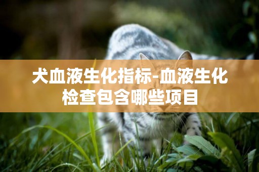 犬血液生化指標-血液生化檢查包含哪些項目