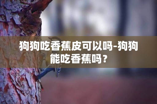 狗狗吃香蕉皮可以嗎-狗狗能吃香蕉嗎？