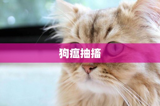 狗瘟抽搐