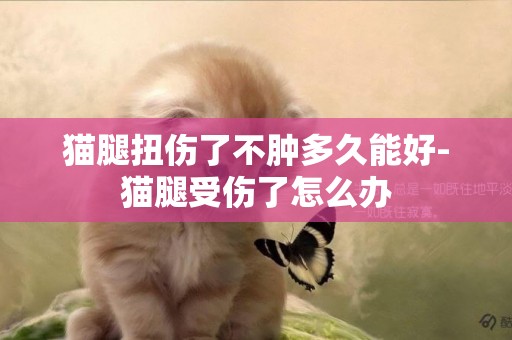 貓腿扭傷了不腫多久能好-貓腿受傷了怎么辦