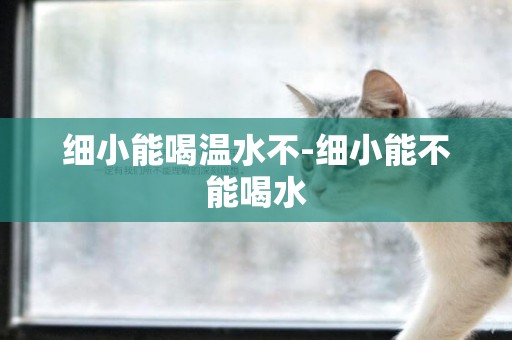 細小能喝溫水不-細小能不能喝水