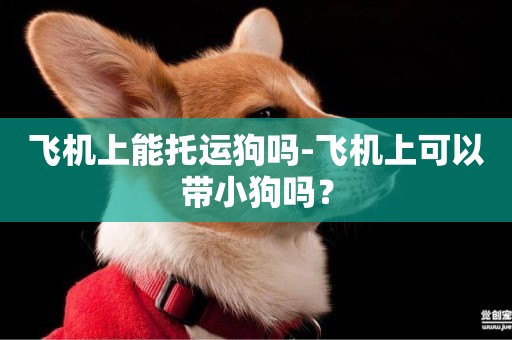 飛機上能托運狗嗎-飛機上可以帶小狗嗎？