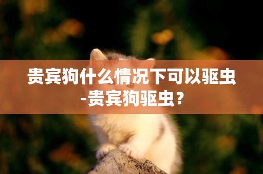 貴賓狗什么情況下可以驅蟲-貴賓狗驅蟲？