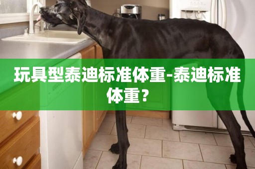玩具型泰迪標準體重-泰迪標準體重？