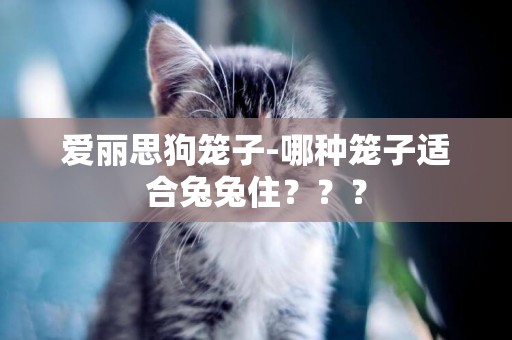 愛麗思狗籠子-哪種籠子適合兔兔住？？？