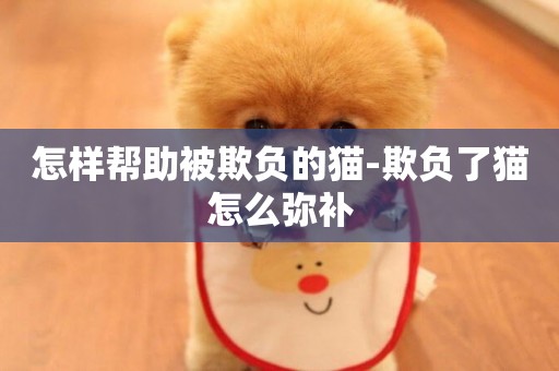 怎樣幫助被欺負的貓-欺負了貓怎么彌補