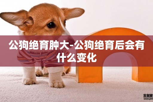 公狗絕育腫大-公狗絕育后會有什么變化
