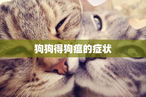 狗狗得狗瘟的癥狀