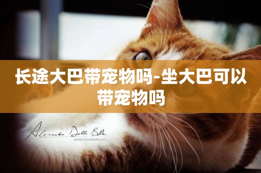 長途大巴帶寵物嗎-坐大巴可以帶寵物嗎