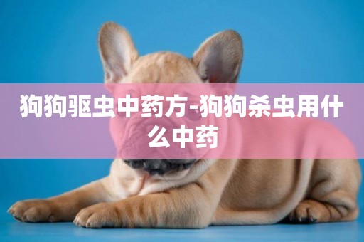 狗狗驅蟲中藥方-狗狗殺蟲用什么中藥