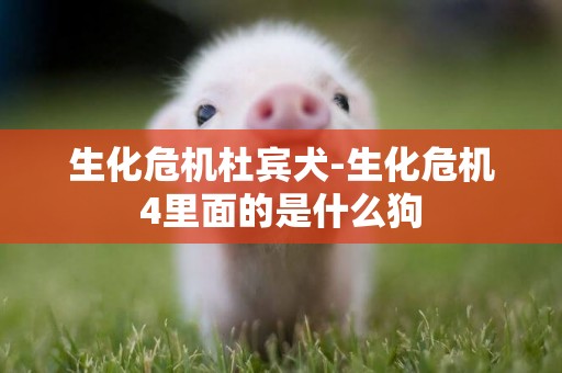 生化危機杜賓犬-生化危機4里面的是什么狗