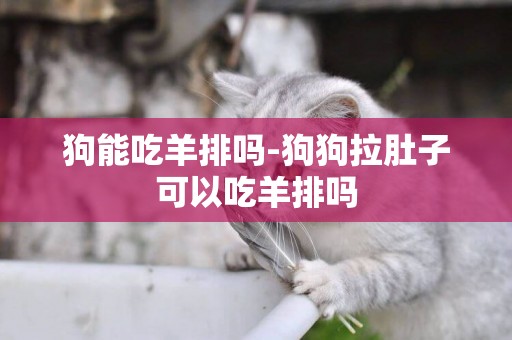 狗能吃羊排嗎-狗狗拉肚子可以吃羊排嗎