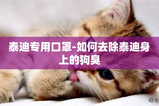 泰迪專用口罩-如何去除泰迪身上的狗臭