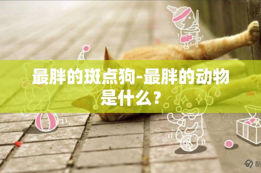 最胖的斑點狗-最胖的動物是什么？
