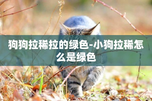狗狗拉稀拉的綠色-小狗拉稀怎么是綠色