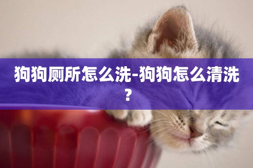狗狗廁所怎么洗-狗狗怎么清洗？