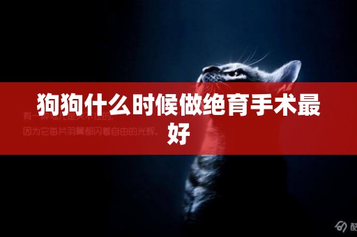 狗狗什么時候做絕育手術最好