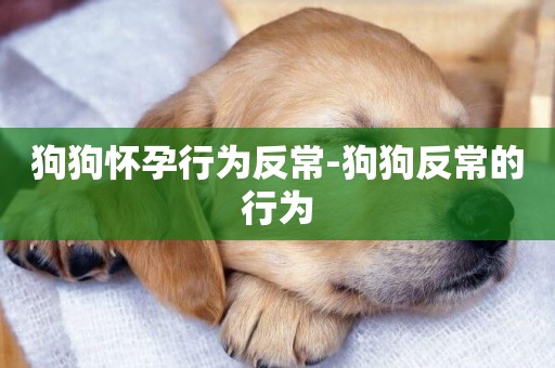 狗狗懷孕行為反常-狗狗反常的行為