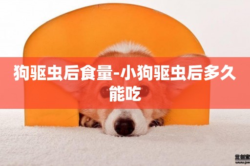 狗驅蟲后食量-小狗驅蟲后多久能吃