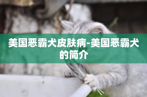 美國惡霸犬皮膚病-美國惡霸犬的簡介
