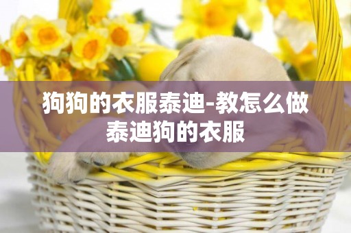 狗狗的衣服泰迪-教怎么做泰迪狗的衣服