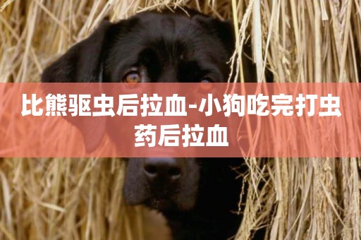 比熊驅蟲后拉血-小狗吃完打蟲藥后拉血